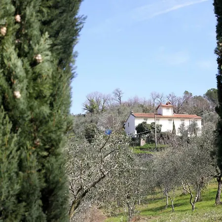 L'amorosa By Interhome Monsummano Terme